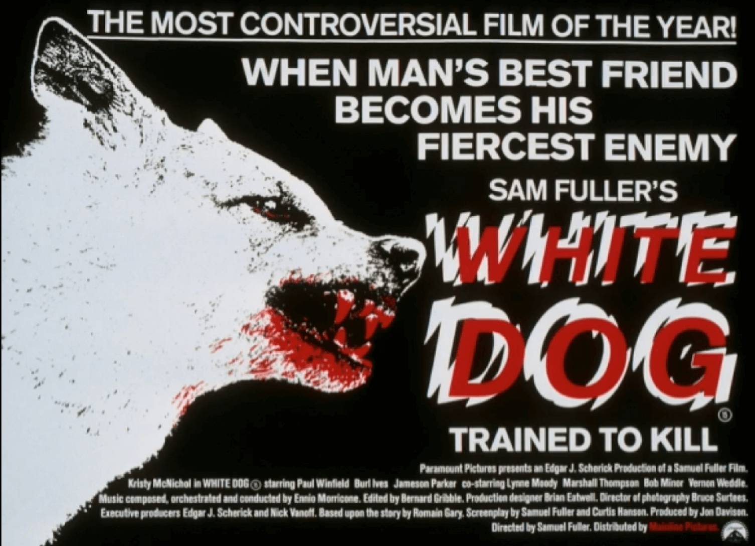 美國電影《White Dog 》（1982）由Samuel Fuller 執導，講述一隻被訓練攻擊黑人的白狗，如何被一名黑人訓狗師重新訓練，從而探討種族歧視是否能夠經治療解決。