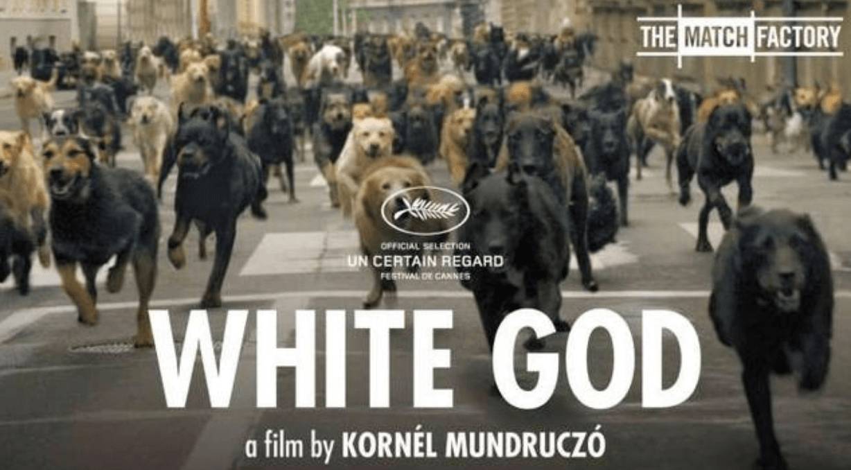  《The White God》由Kornél Mundruczó執導。