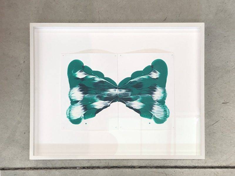 Rare Butterfly Collection by Daniele Innamorato（圖片來源：Yoox）