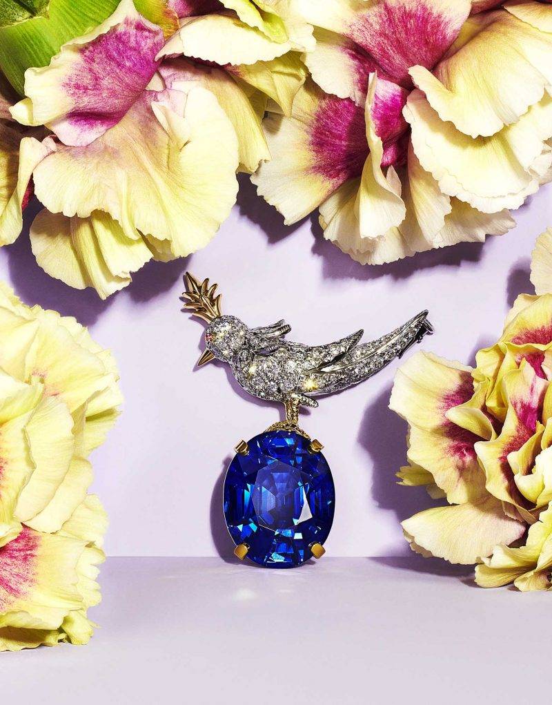 Tiffany & Co. Schlumberger® Bird on a Rock brooch（圖片來源：Tiffany & Co.）