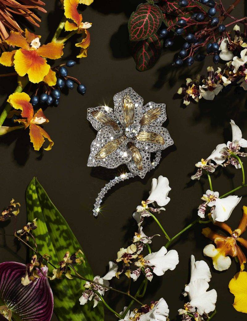 Orchid yellow diamond and diamonds brooch（圖片來源：Tiffany & Co.）