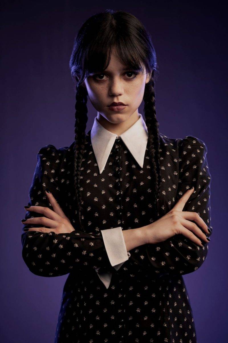 愛登士家庭中的女兒Wednesday Addams喜愛養蜘蛛、跳芭蕾舞，而且會柔道，甚至能將父親打倒，基本上沒人欺負得了Wednesday。