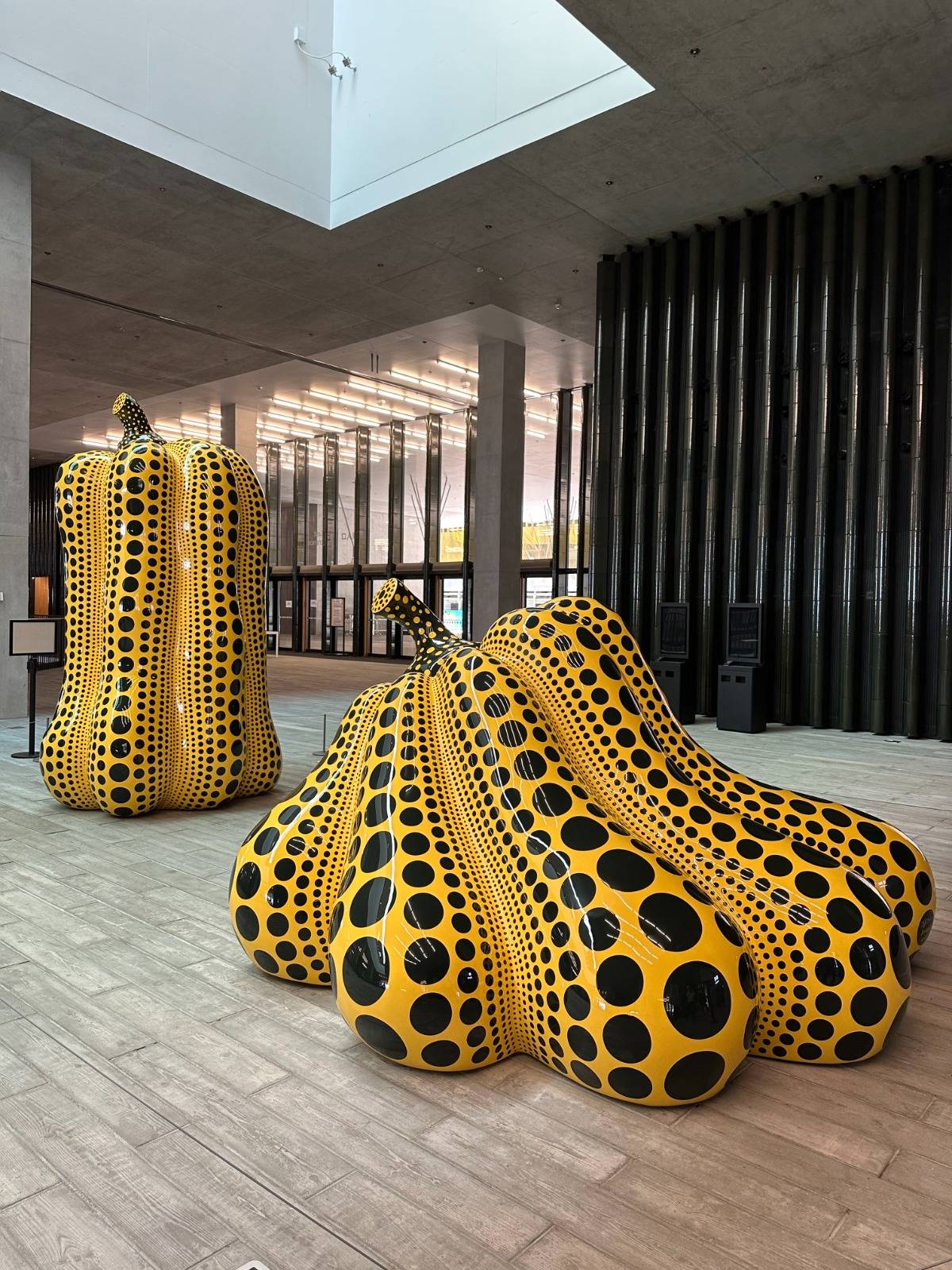 短片多圖】草間彌生M+展覽8大重點作品：南瓜雕塑、沉浸式圓點空間搶先