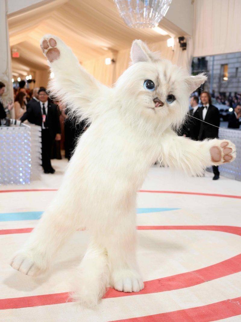 老佛爺愛貓 Choupette Lagerfeld（圖片來源：Met Gala）